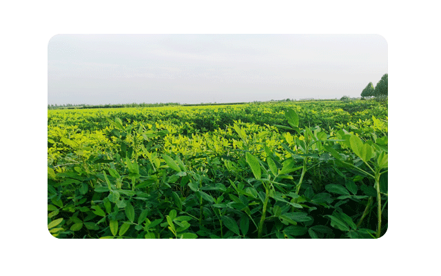 智慧農(nóng)業(yè)