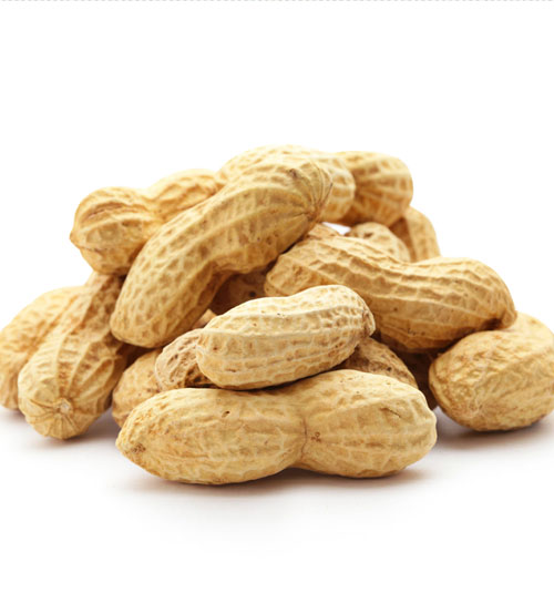 中好水果花生